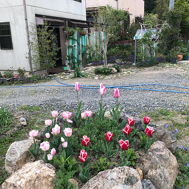 pepeさんの実例写真