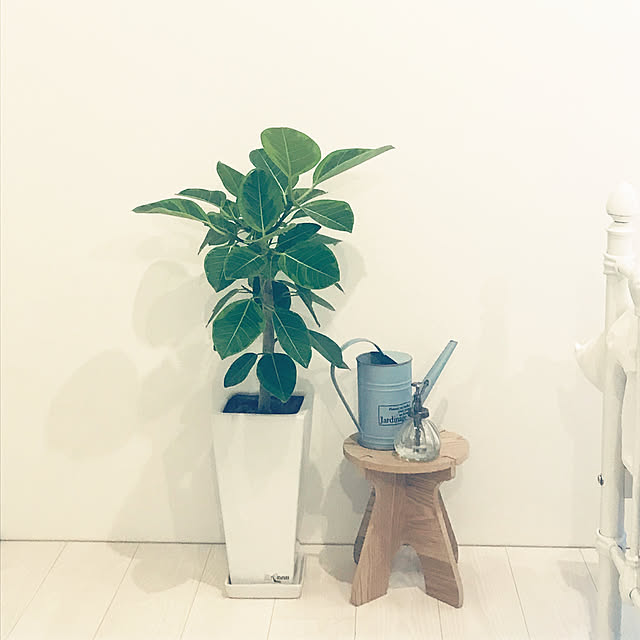 Makiさんの実例写真