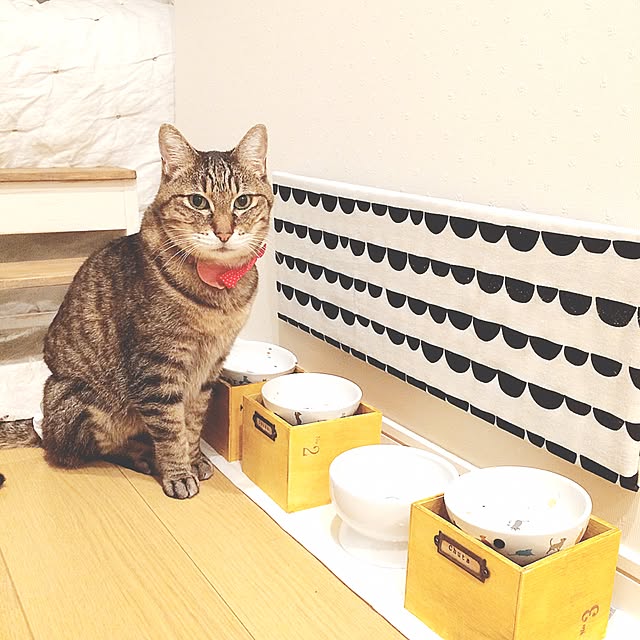 lovecatさんの実例写真