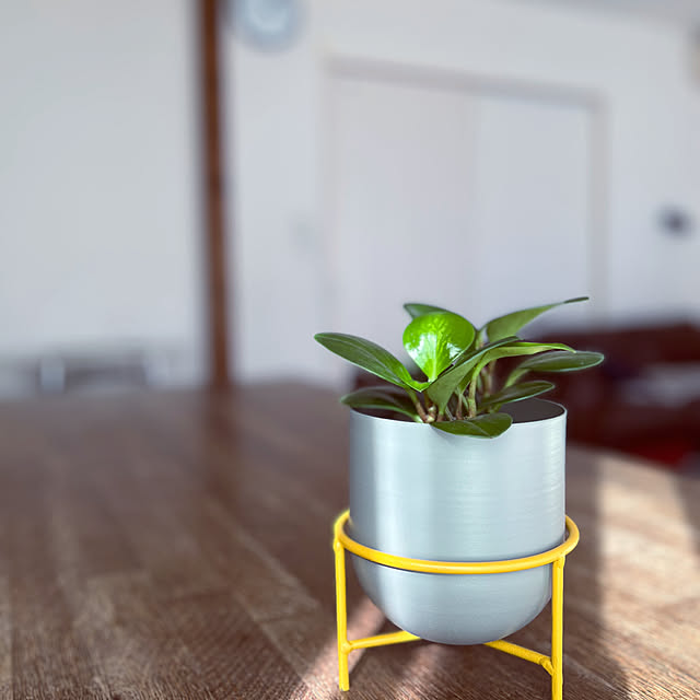 so-bokuさんの実例写真