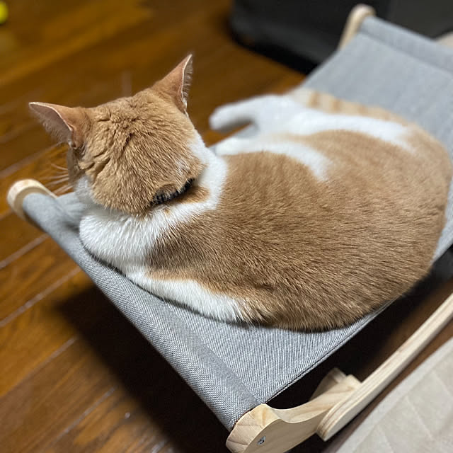 mintteaさんの部屋
