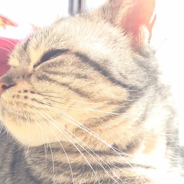 sallyさんの実例写真