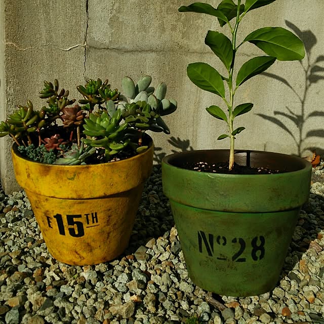 ranaさんの実例写真