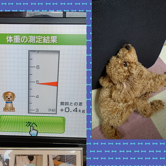 yumirinさんの実例写真
