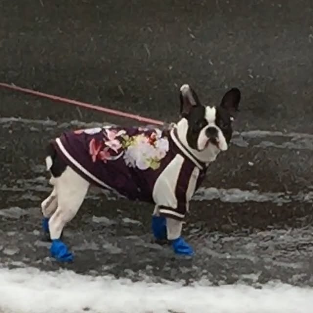 isocoさんの実例写真