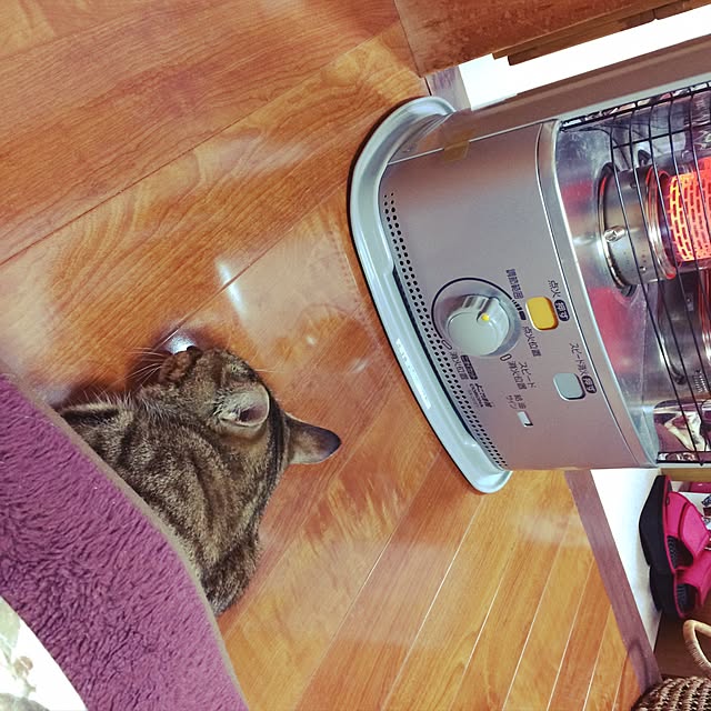 uraraさんの実例写真