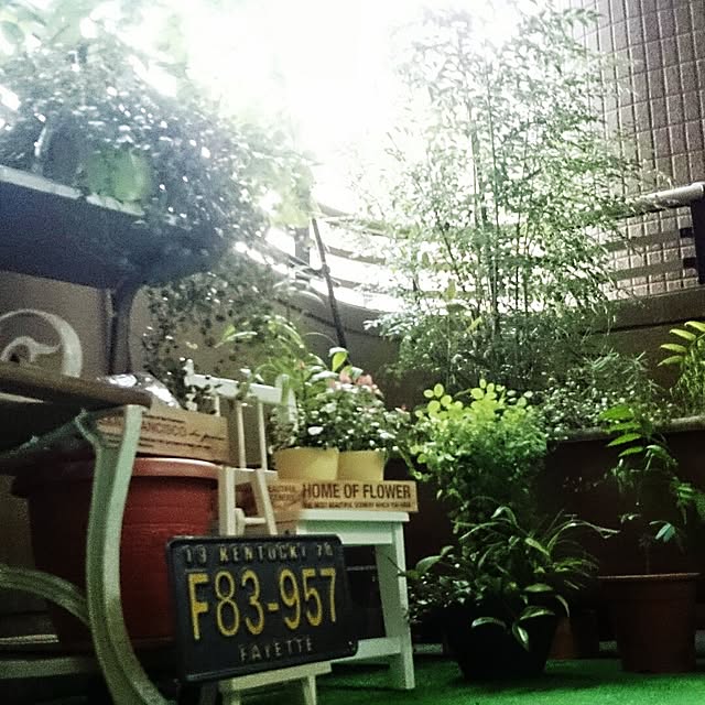 pato-rushさんの実例写真