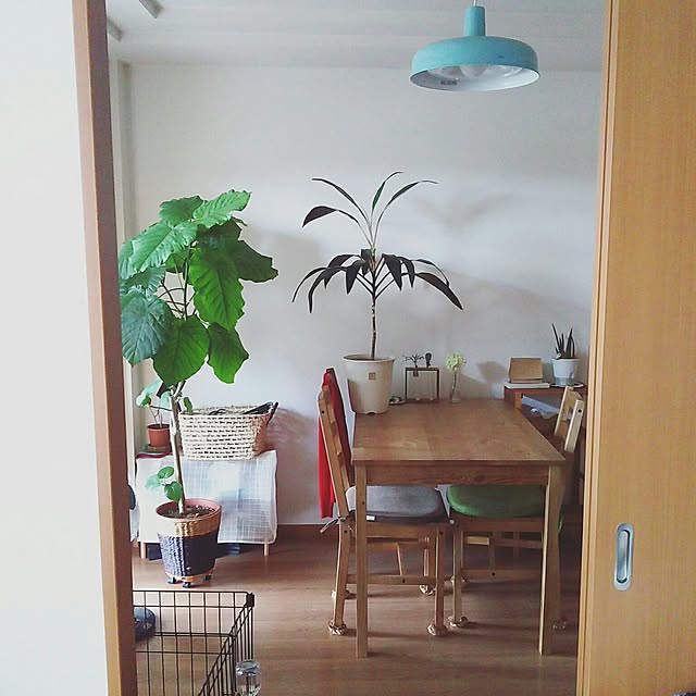 roro1021さんの実例写真