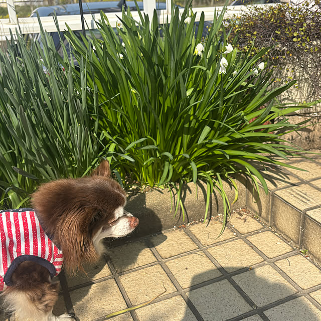 chIoeさんの部屋