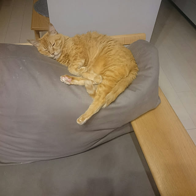 hanacocoさんの実例写真