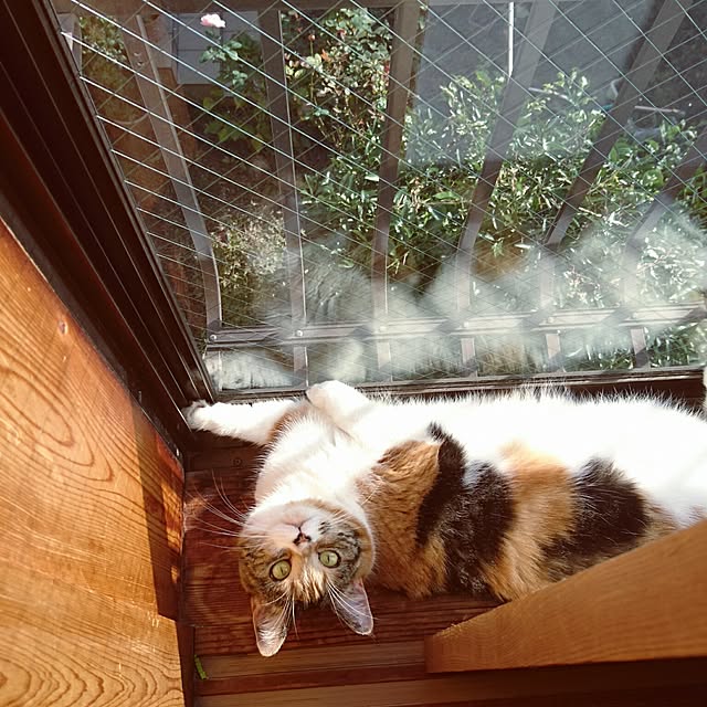 yukieさんの実例写真