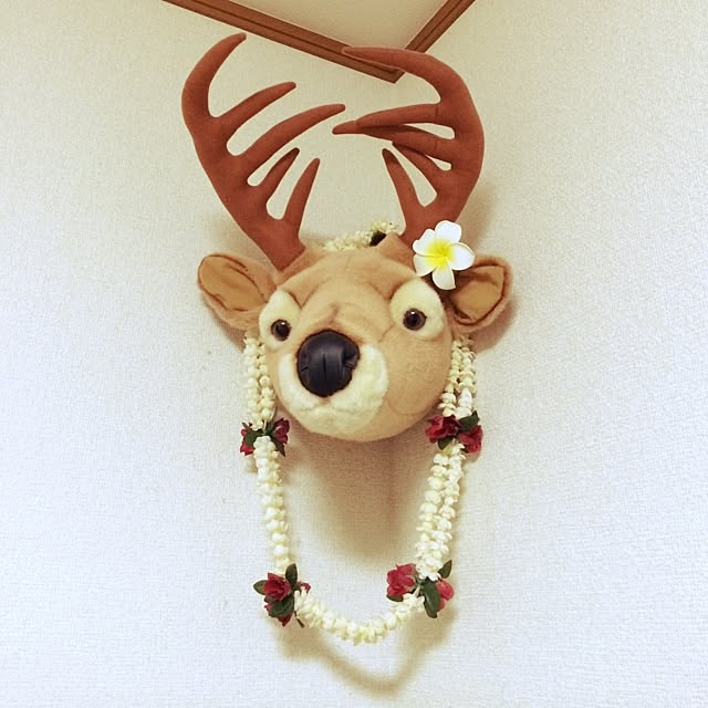 Mikiteaさんの実例写真