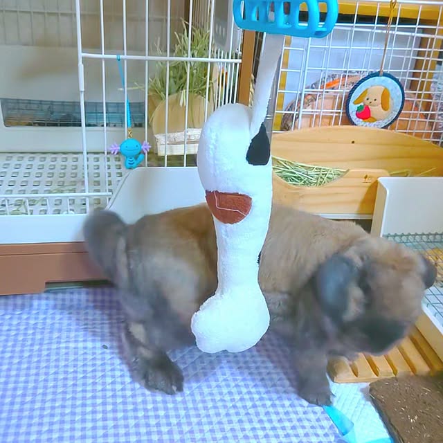 mariaさんの部屋