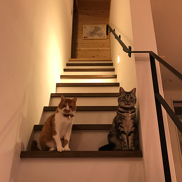 mkmkmoominさんの実例写真