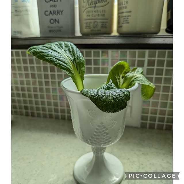 Rさんの実例写真