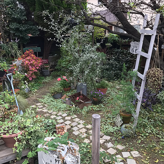 bibianさんの実例写真