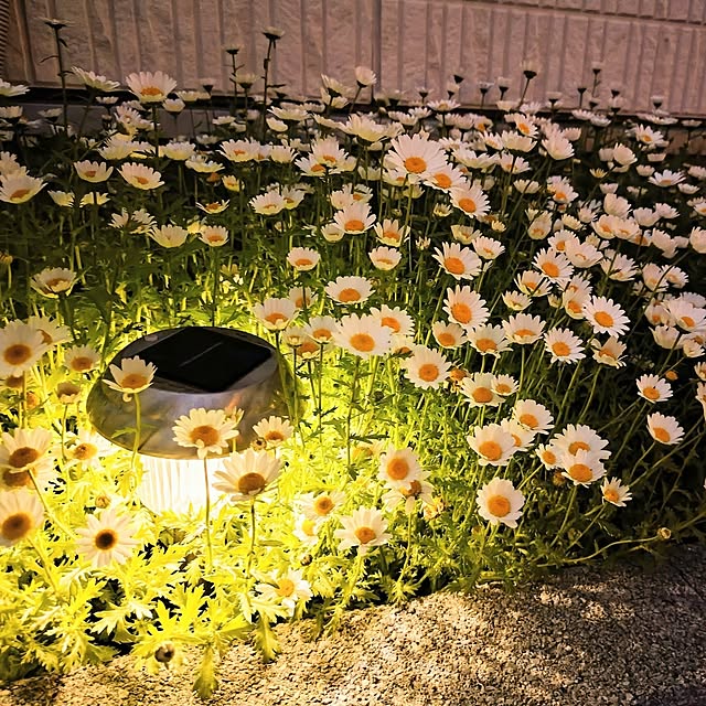 coconathuさんの部屋