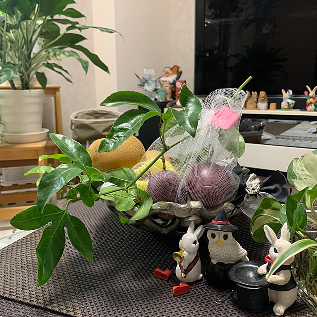 Aqettyさんの部屋