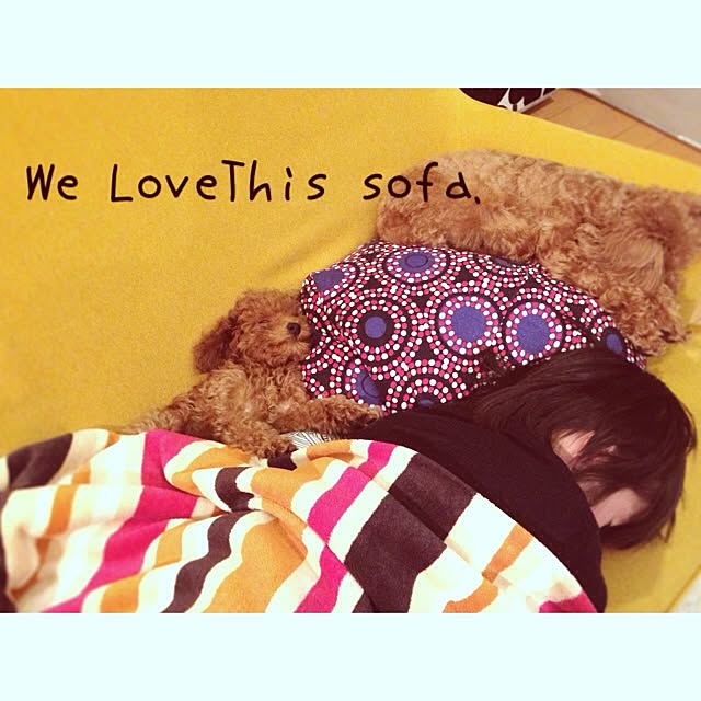 popさんの実例写真