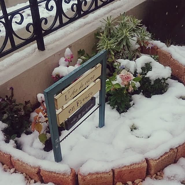 whitebirdさんの実例写真