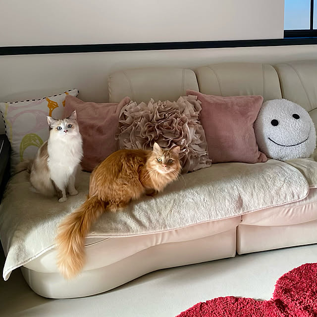 mokkoさんの実例写真