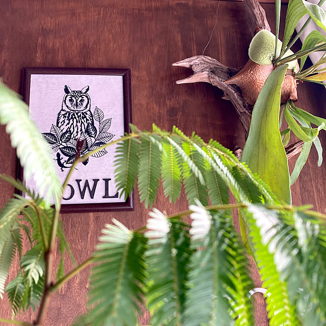 sleeping-dropさんの部屋