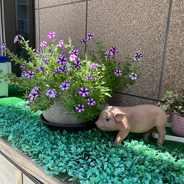 puriyuzuさんの実例写真