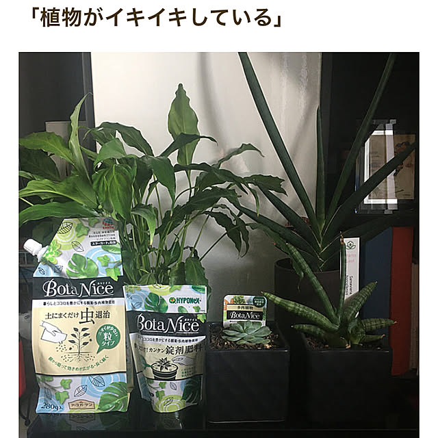 0415さんの実例写真
