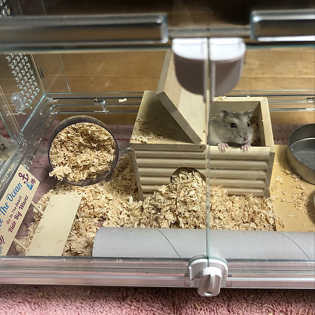 blueさんの実例写真