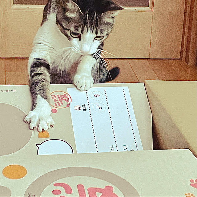 guuguu77さんの実例写真
