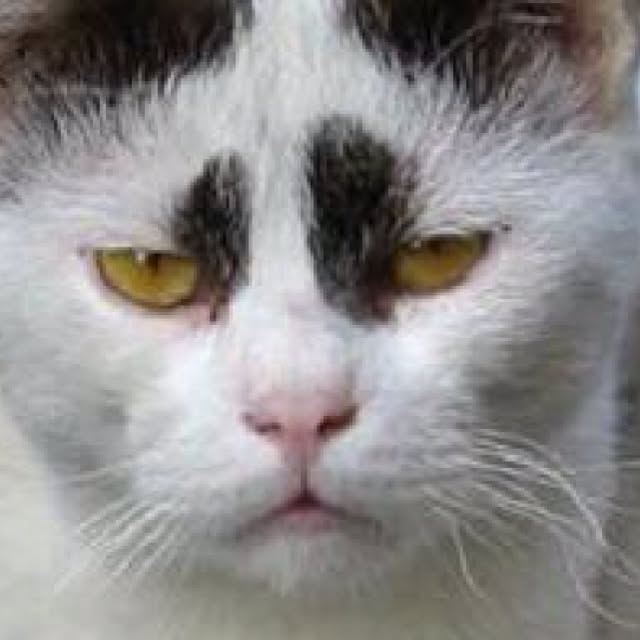 cyokotaroさんの実例写真