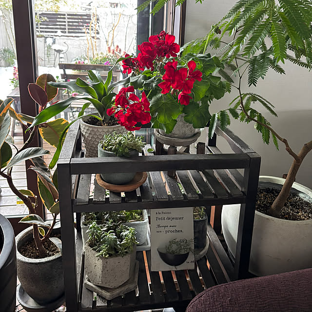 maimai0110さんの部屋