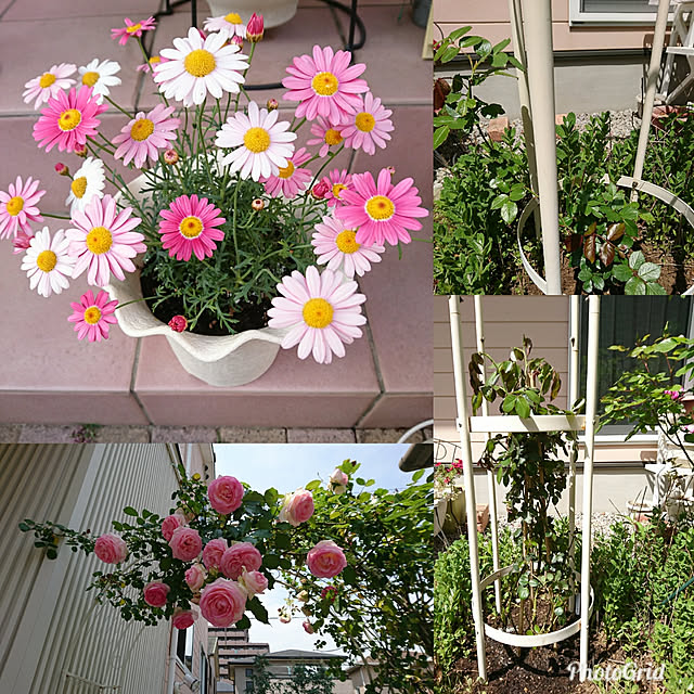 fleur-mamanさんの実例写真