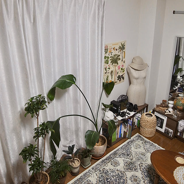 eden___001さんの実例写真