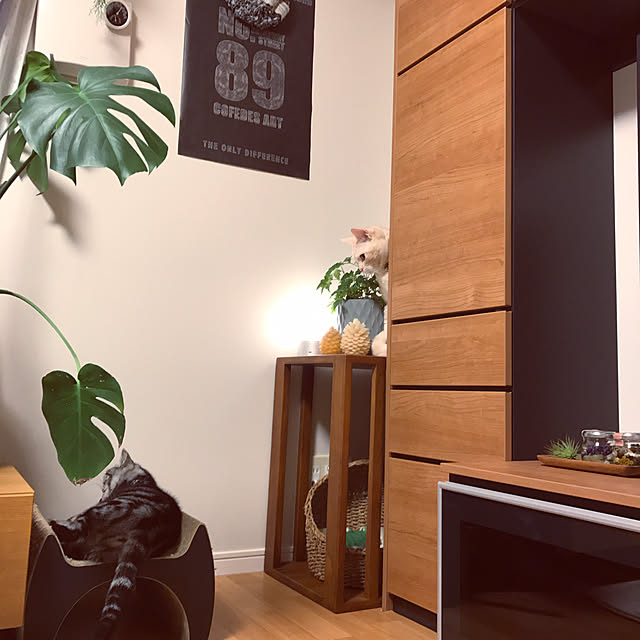 hiyupan88さんの実例写真