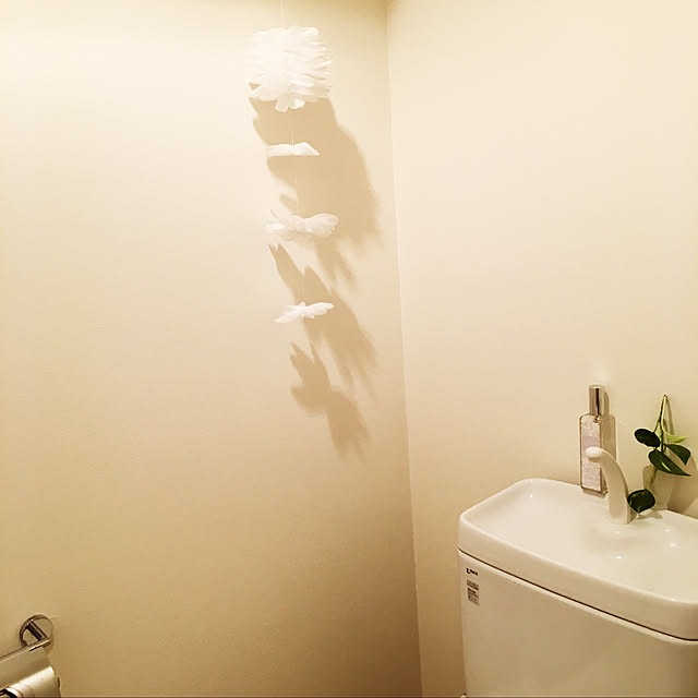 saeさんの実例写真