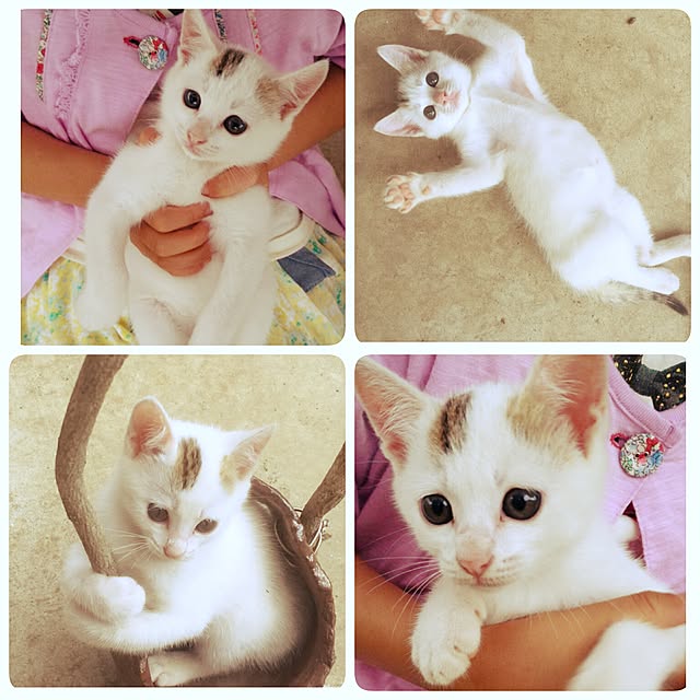 aoi01さんの実例写真
