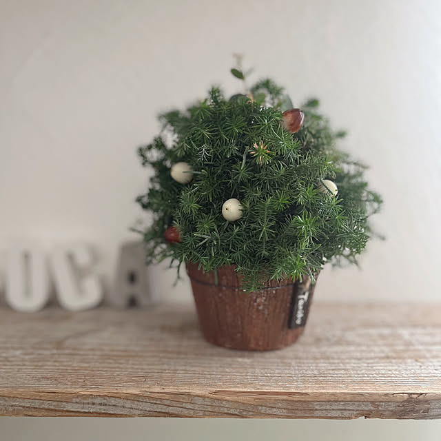 akko1205さんの実例写真