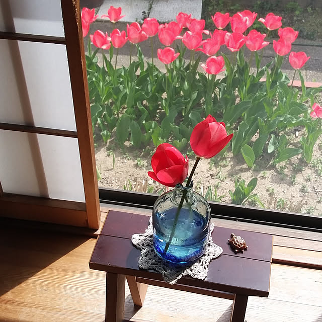 piさんの実例写真