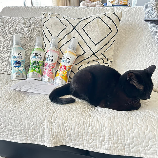 nekomiさんの部屋