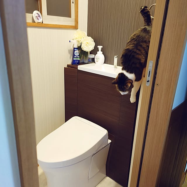 nachiさんの部屋