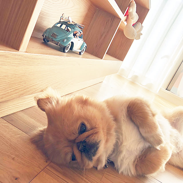NUIさんの実例写真