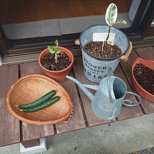 fukuさんの実例写真