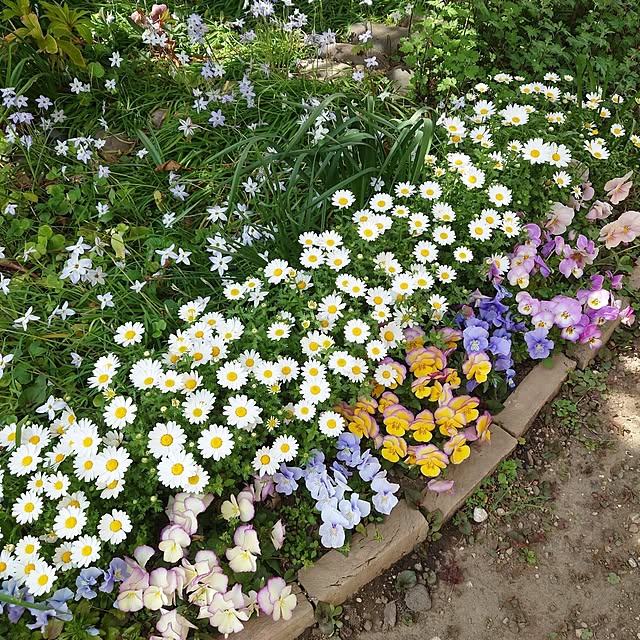 chururiさんの実例写真