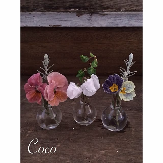 Cocoさんの実例写真