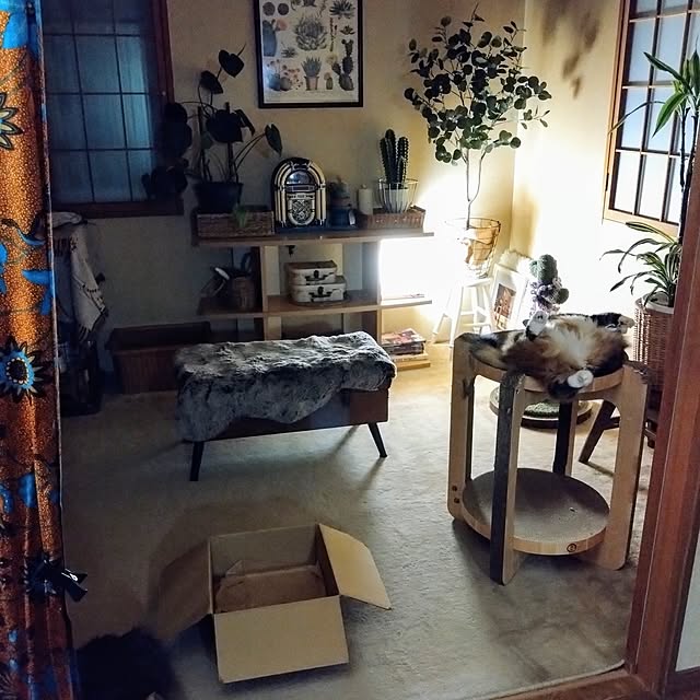 CHIKAさんの実例写真