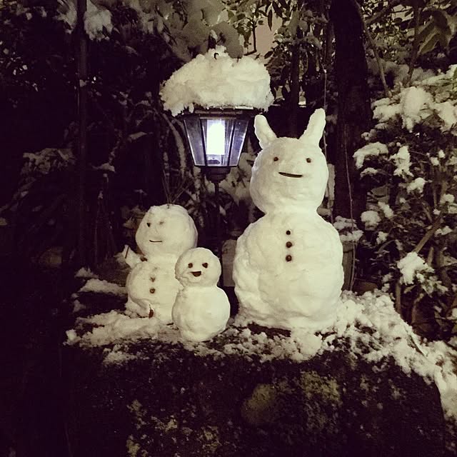 majoさんの実例写真