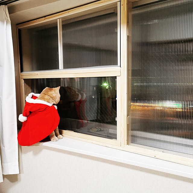 nimさんの実例写真