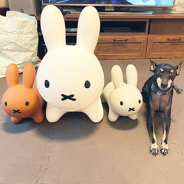 jolisukeさんの実例写真