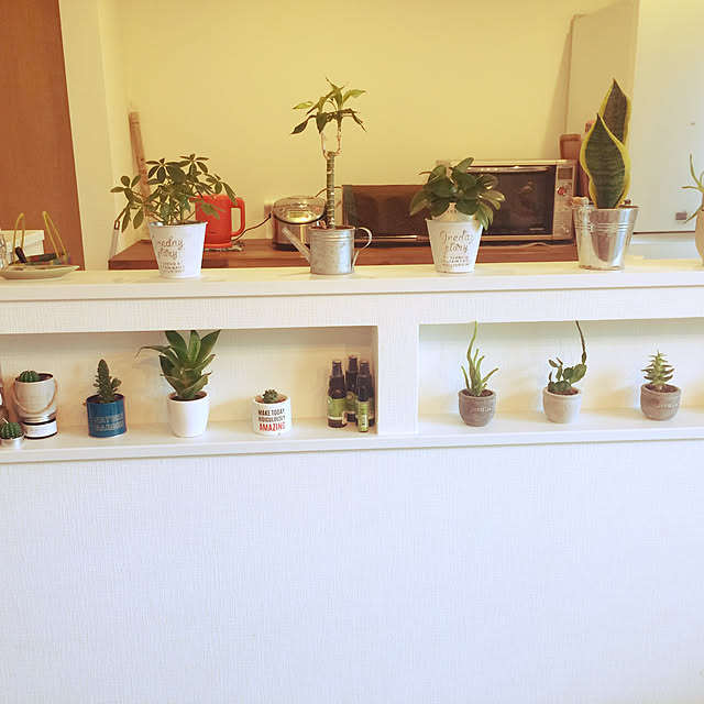 キッチン/3COINS/観葉植物/100均/植物のインテリア実例 - 2017-09-06 08:44:52